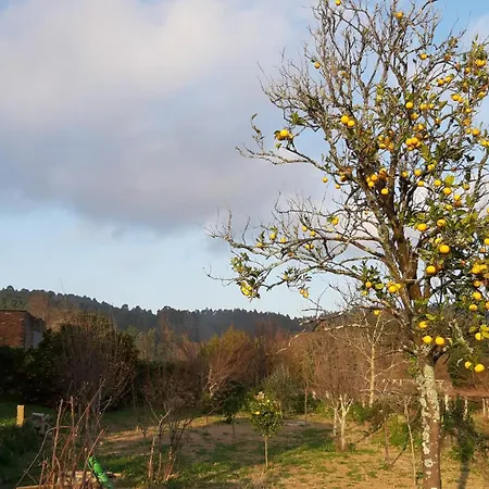 Casa De Arosa, Privativa, Con Σπίτι διακοπών
